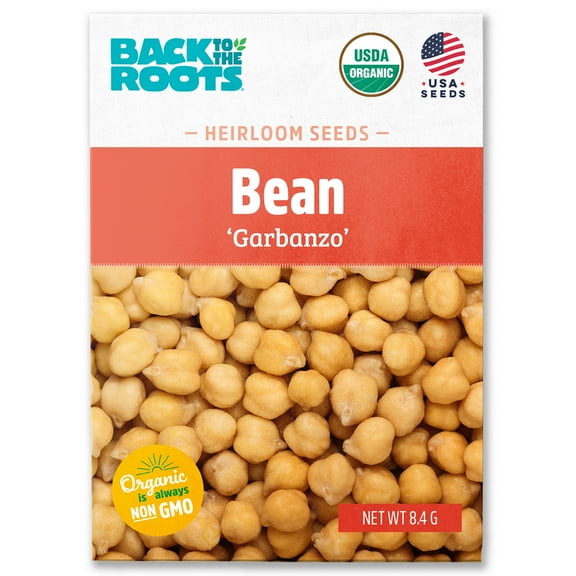 Back to the Roots Organic Bean 'Garbanzo', 1 Seed packet