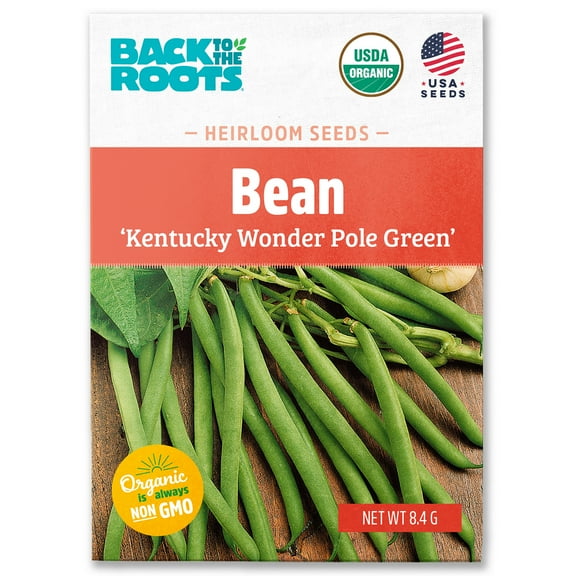 Back to the Roots Organic Bean 'Kentucky Wonder' Pole - Green, 1 Seed packet