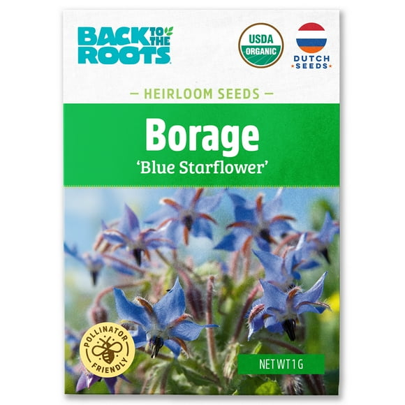 Back to the Roots Organic Borage 'Blue Starflower', 1 Seed packet