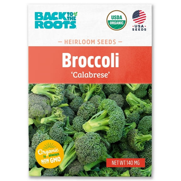 Back to the Roots Organic Broccoli 'Green Sprouting Calabrese', 1 Seed packet