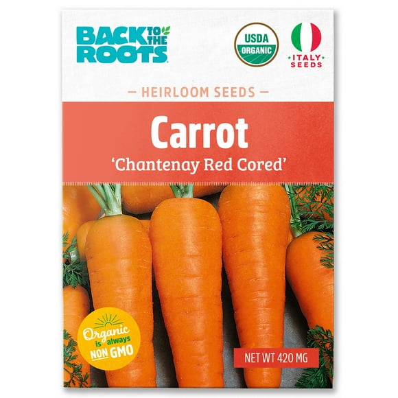 Back to the Roots Organic Carrot 'Chantenay Red Cored', 1 Seed packet