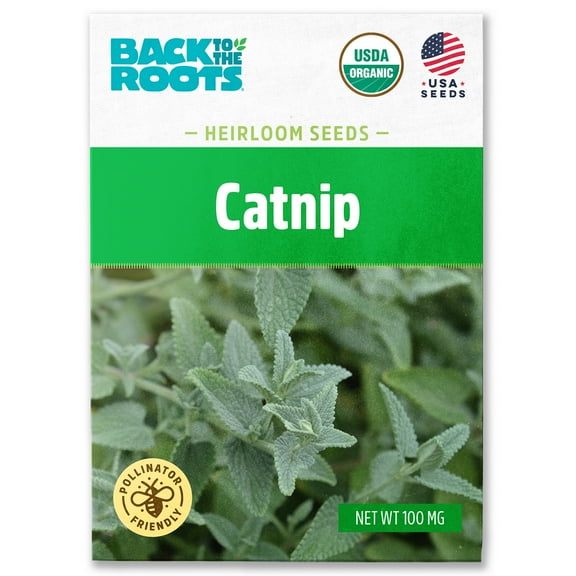 Back to the Roots Organic Catnip, 1 Seed packet