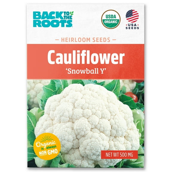 Back to the Roots Organic Cauliflower 'Snowball Y', 1 Seed packet