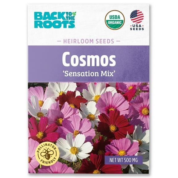Back to the Roots Organic Cosmos 'Sensation Mix', 1 Seed packet