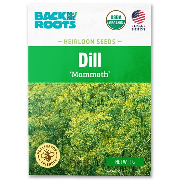 Back to the Roots Organic Dill 'Mammoth', 1 Seed packet