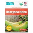 thumbnail image 1 of Back to the Roots Organic Honeydew Melon 'Green Flesh', 1 Seed packet, 1 of 7