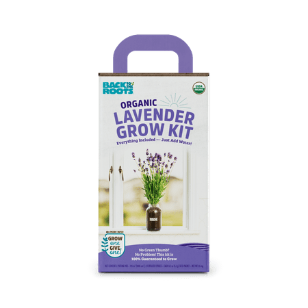 Back to the Roots Organic Lavender Grow Kit, 4 Pieces
