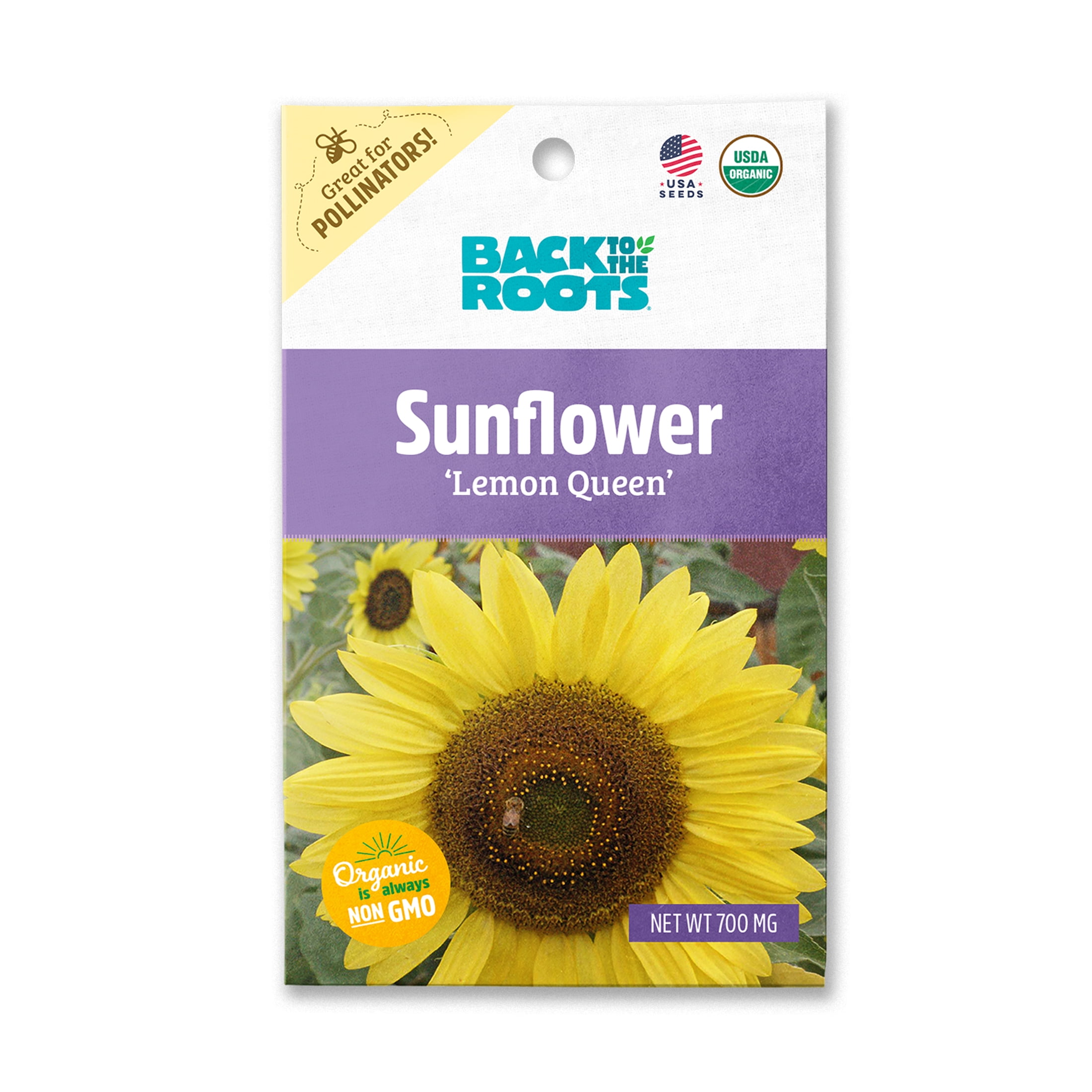 Sunflower plantable seed paper – Return to Sender