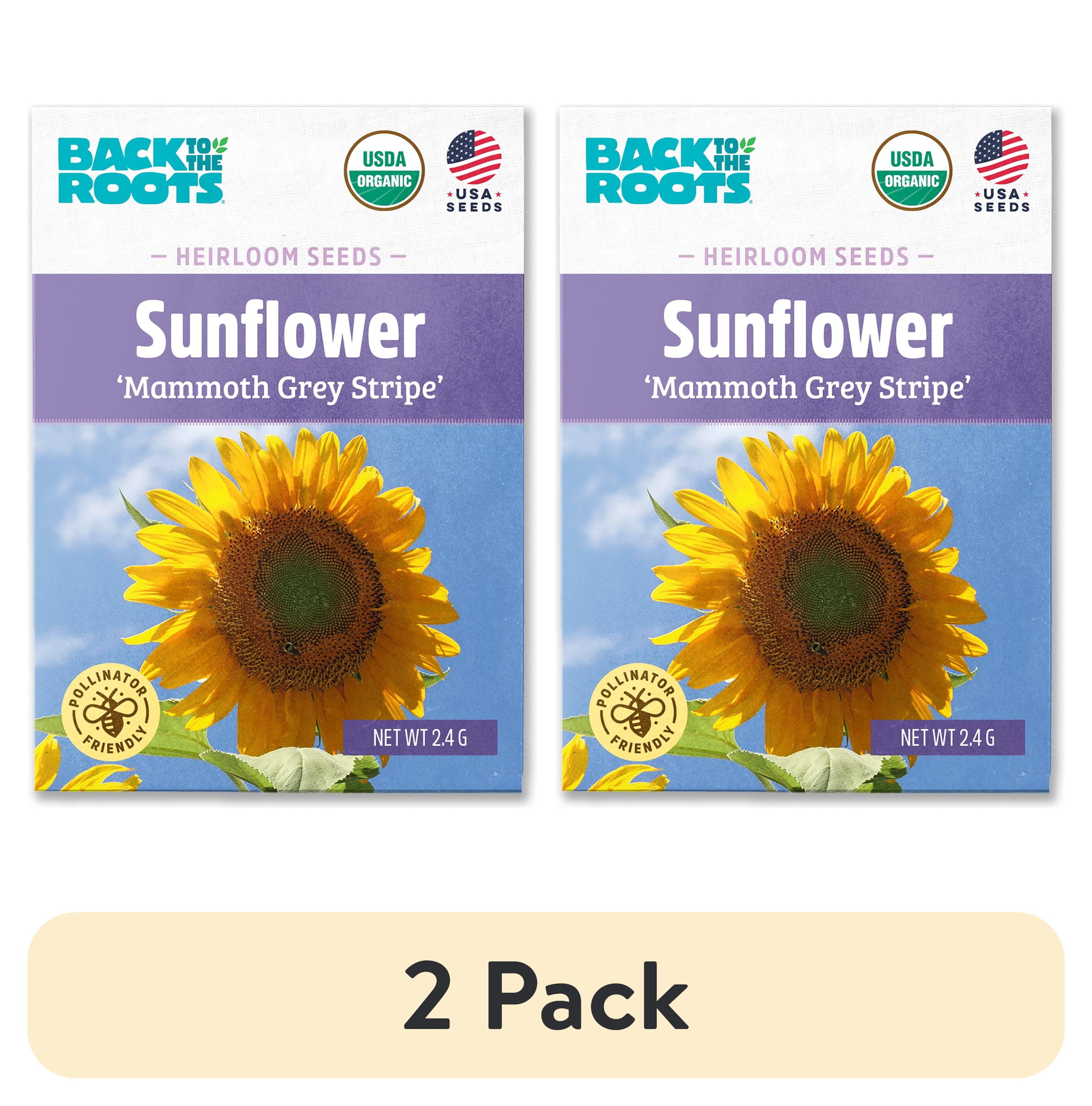 Back to the Roots Sunflower Seeds - Thumbnail 3