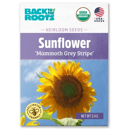 Back to the Roots Organic Mammoth Grey Stripe Sunflower Seeds, 1 Packet