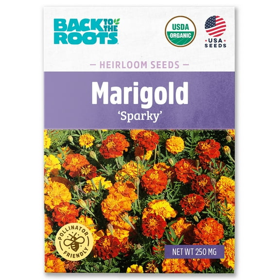 Back to the Roots Organic Marigold 'Sparky', 1 Seed packet