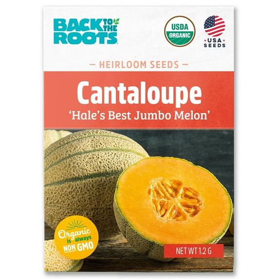 Back to the Roots Organic Melon 'Hale's Best Jumbo', 1 Seed packet