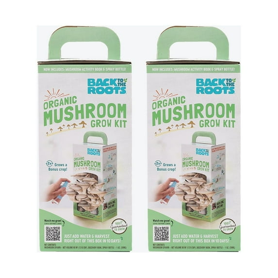 Back to the Roots Organic Pearl Oyster Mini Mushrooms Gardening Spawn Grow Kit, 2 Kits