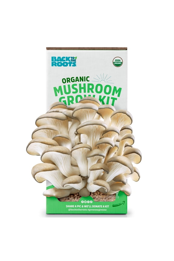 Organic Pearl Oyster Mushroom Grow Kit