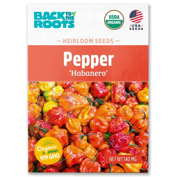Back to the Roots Organic Pepper, 'Habanero', 1 Seed packet
