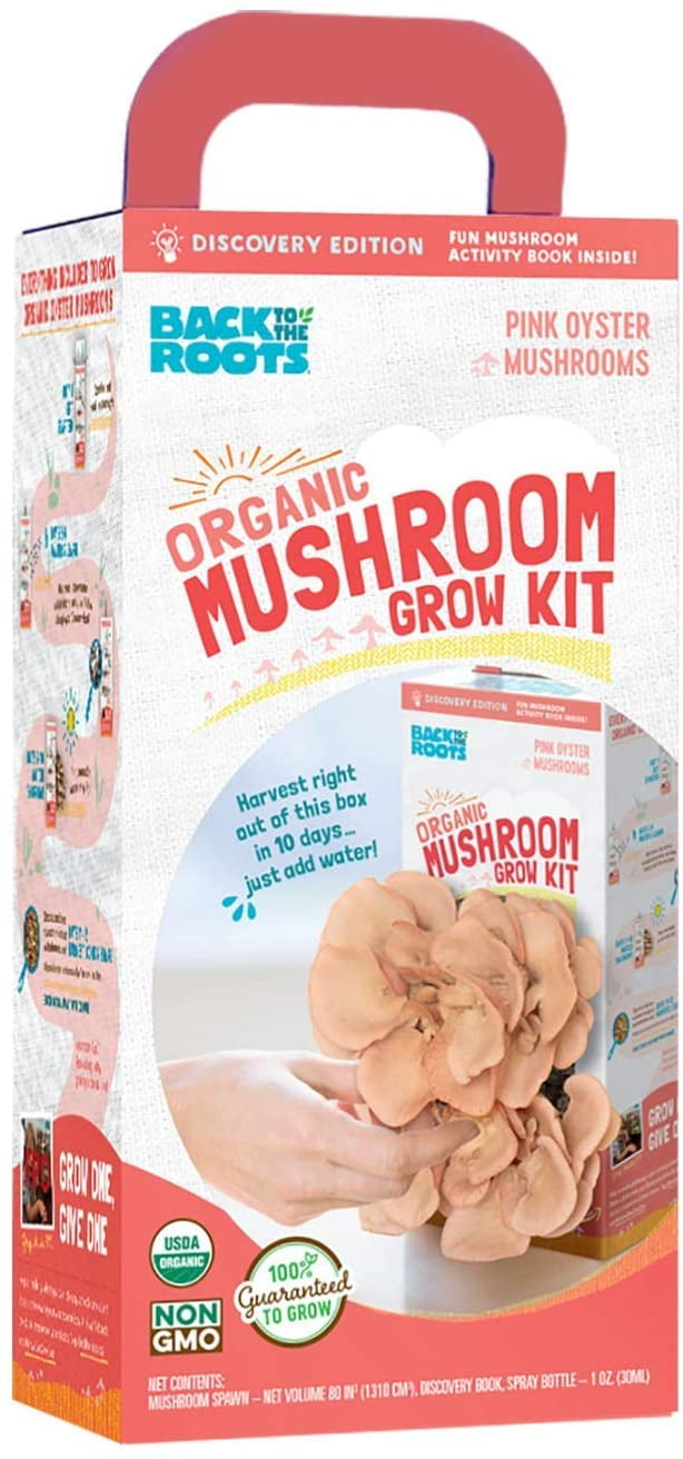 Back to the Roots Organic Pink Grow Kit, Harvest Gourmet Oyster