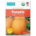 thumbnail image 1 of Back to the Roots Organic Pumpkin 'Jack O' Lantern', 1 Seed packet, 1 of 7