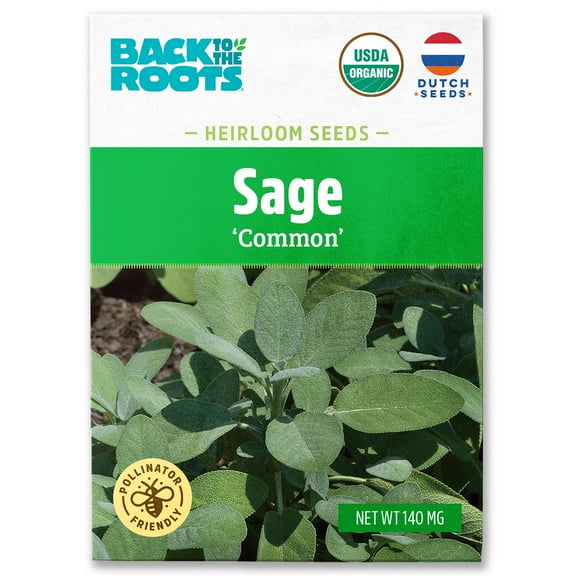Back to the Roots Organic Sage 'Common', 1 Seed packet