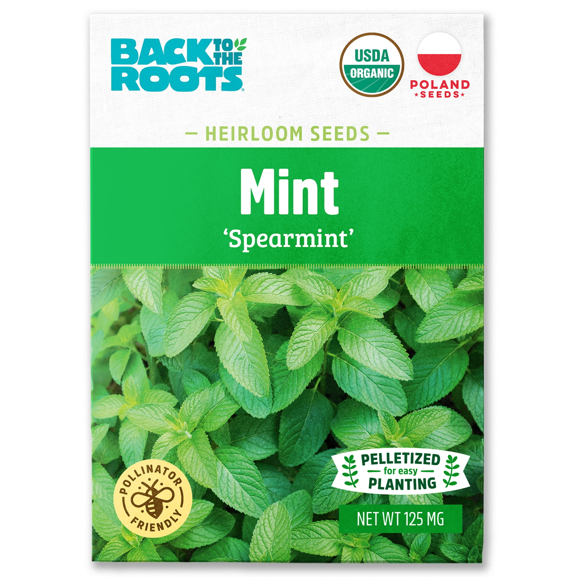 Back to the Roots Organic Mint 'Spearmint', 1 Seed Packet