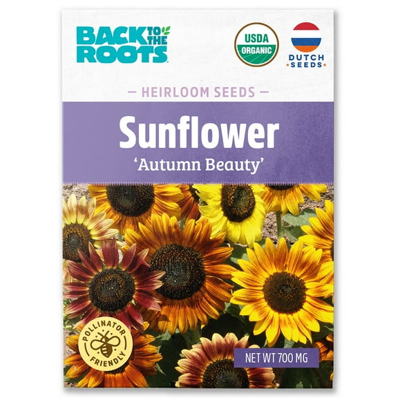 Back to the Roots Organic Sunflower 'Autumn Beauty', 1 Seed packet