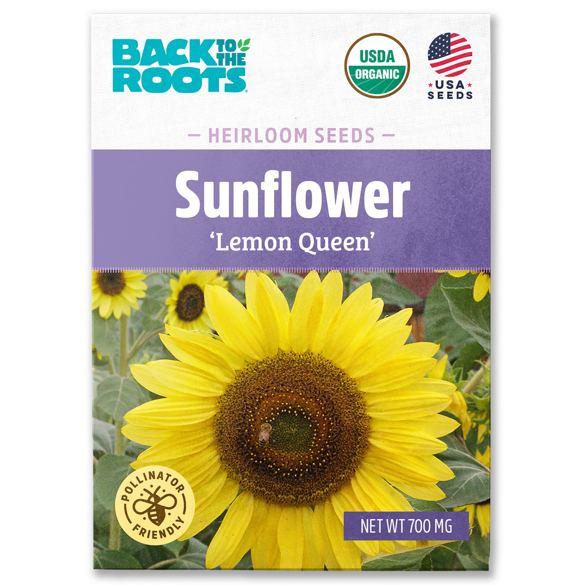 Back to the Roots Organic Lemon Queen Sunflower Seed Packets 1 with Y E ...