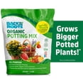 thumbnail image 1 of Back to the Roots Organic All-Purpose, Peat-Free Premium Potting Mix (6 QT), 1 of 12
