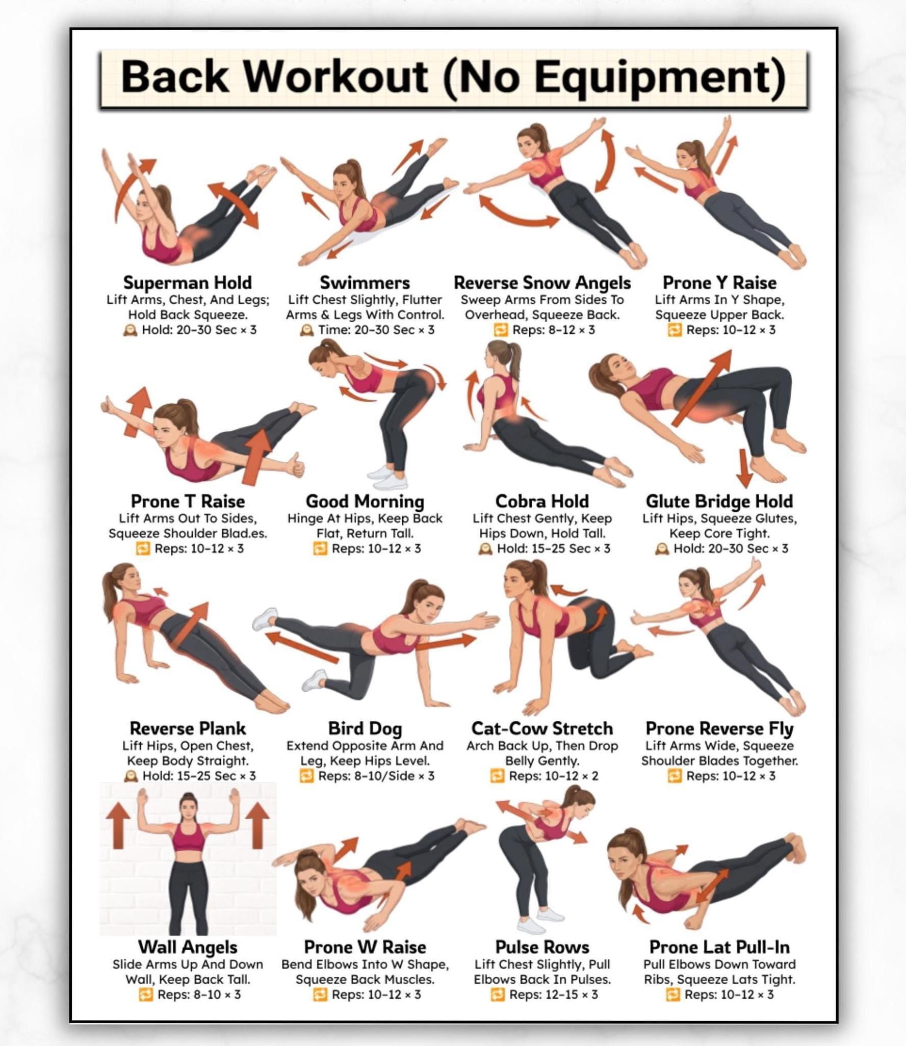 Back workout no equipment illustrated fitness guide for daily home ...