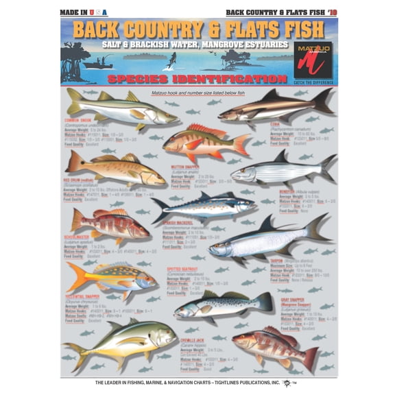 Backcountry & Flats Fish Identification Chart #10 (Salt & Brackish Water and Mangrove Estuaries) - Waterproof Quick Reference Guide | Portable & Built to Last | Double-Sided & Easy to Read