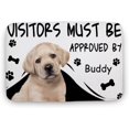 Backdoor Mat Soft Rugs for Bedroom Visitors Must Be Approved by Dogs