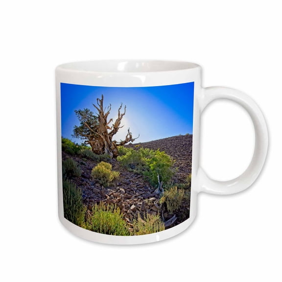 3drose, Backlit Ancient Pine in Inyo National Forest, 11oz Mug