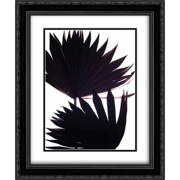 Backlit II 2x Matted 20x24 Black Ornate Framed Art Print by Burkhart, Monika