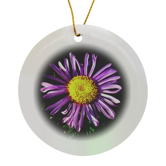 3drose, Backlit Macro Photograph of a Spectacular Purple Aster Flower, Circle Porcelain Ornament