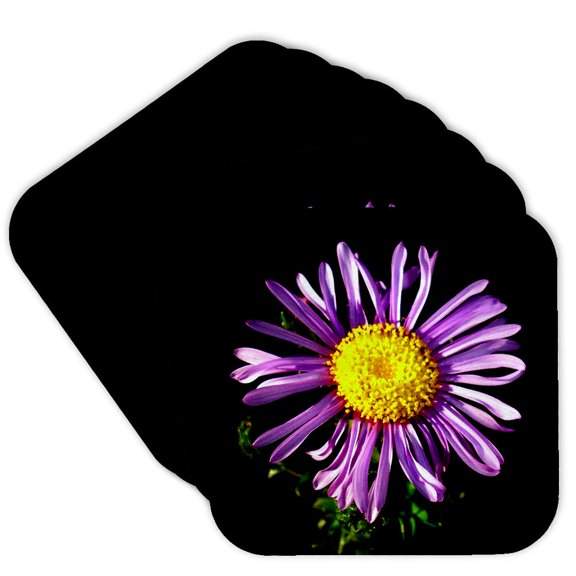 3drose, Backlit Macro Photograph of a Spectacular Purple Aster Flower, Set of 8 Coasters - Soft