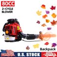 thumbnail image 1 of Leaf Blower Backpack, 80CC 2-Cycle 900CFM 4.8HP Gas Powered Strong Air Flow , Ideal for Leaf, Sand, Gravel, Snow, Yard and Driveway, 1 of 8