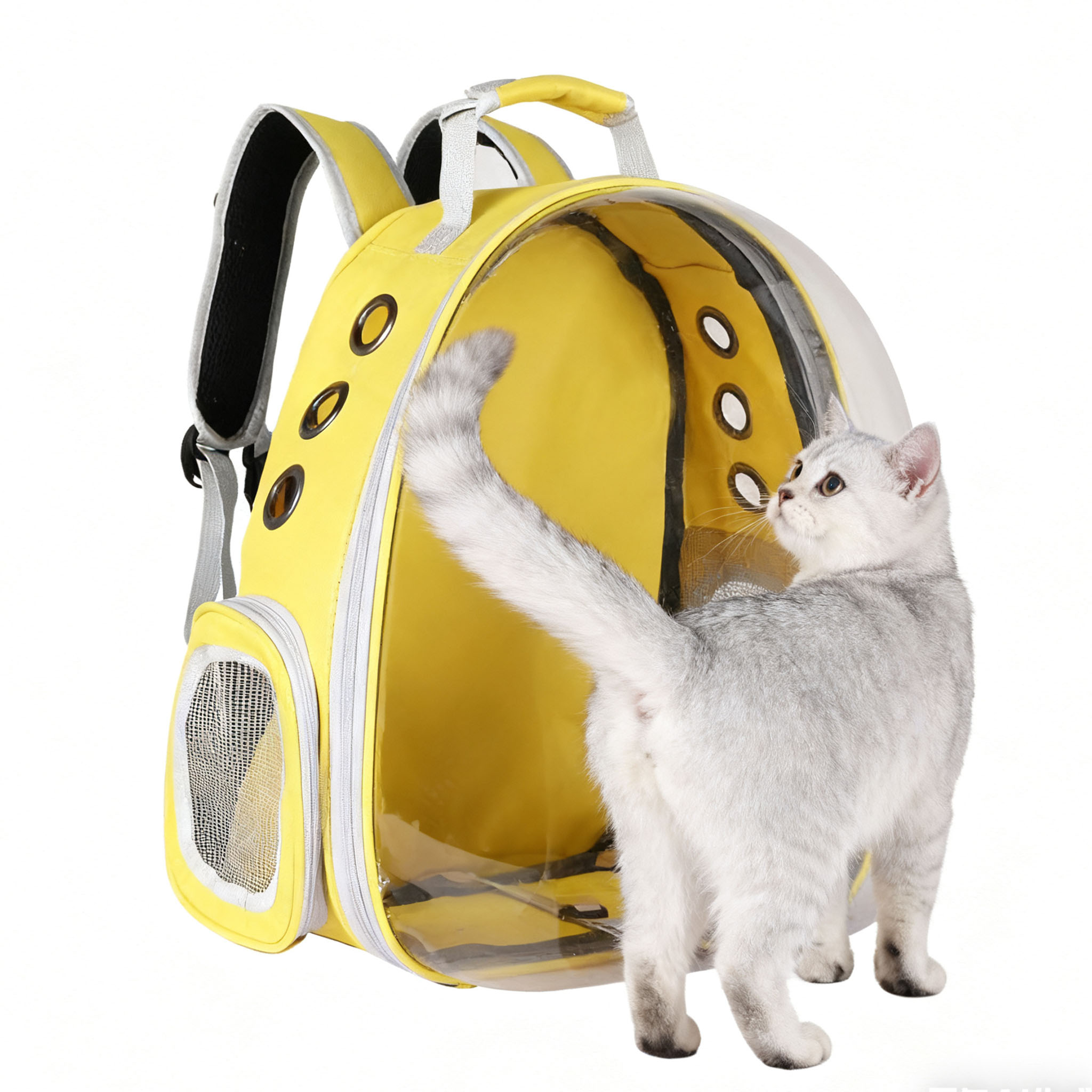 Backpack Pet Carriers,cat backpack carrier,Large Space Bubble Pet — free download