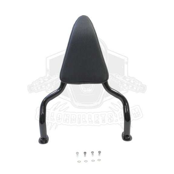 Backrest Sissy Bar with Pad Fits Harley-Davidson FLRT FreeWheeler (20152024)