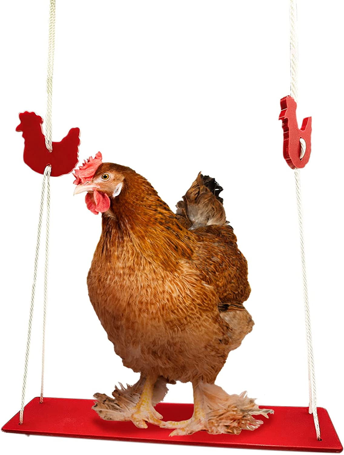 Backyard Barnyard Chicken Swing Perch Made in The USA! Poultry Roosting Bar Toy for Coop Cage or Run Chooks Perca para Gallinas
