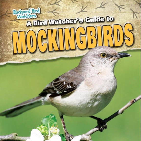 Backyard Bird Watchers: A Bird Watcher's Guide to Mockingbirds (Hardcover)