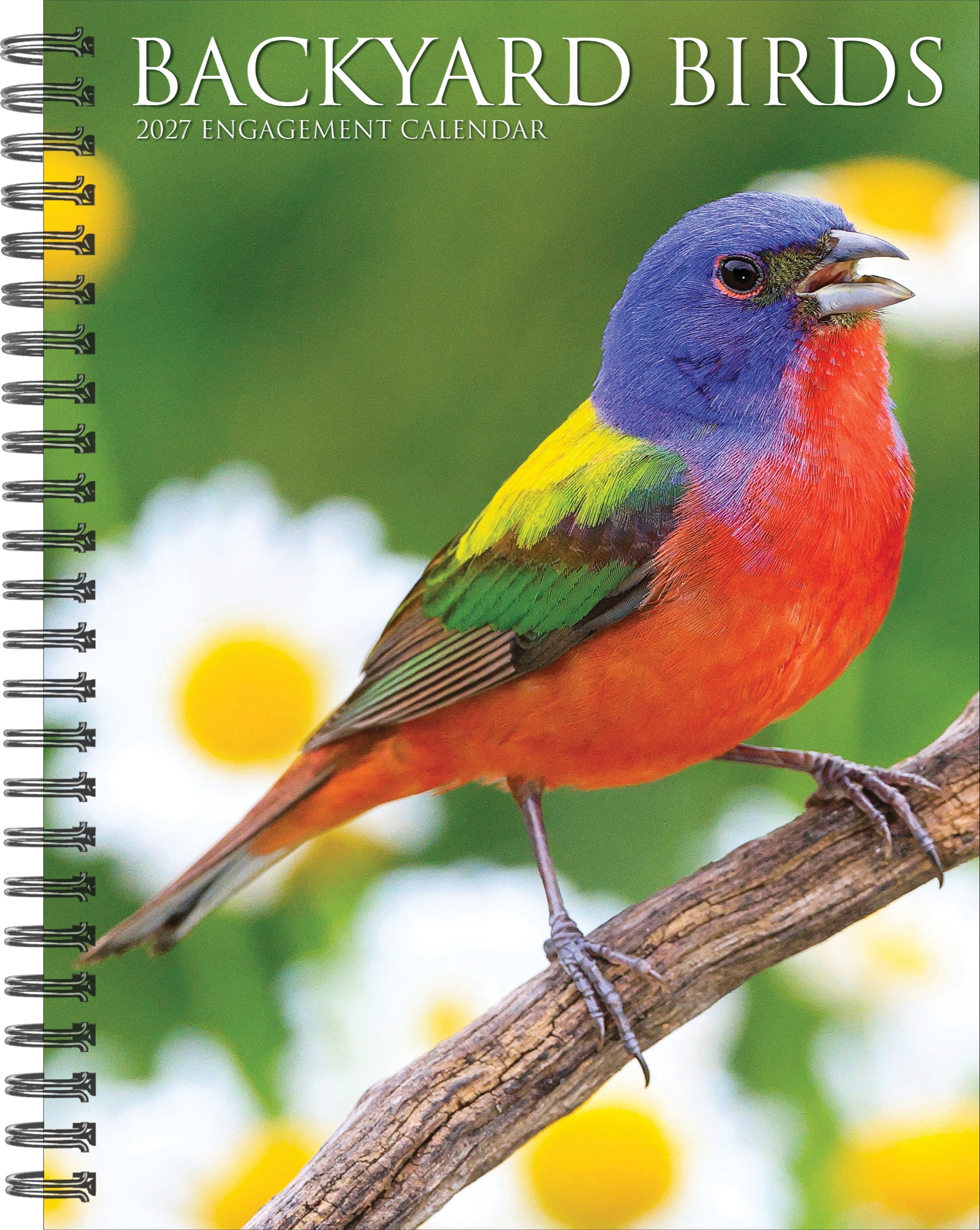 Willow Creek Press, Backyard Birds 2027 Engagement Calendar