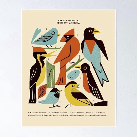 Backyard Birds Guide Ornithology Feathered Wildlife Wall Decor, Stretched Canvas