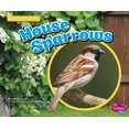 thumbnail image 1 of Backyard Birds: House Sparrows (Paperback), 1 of 1