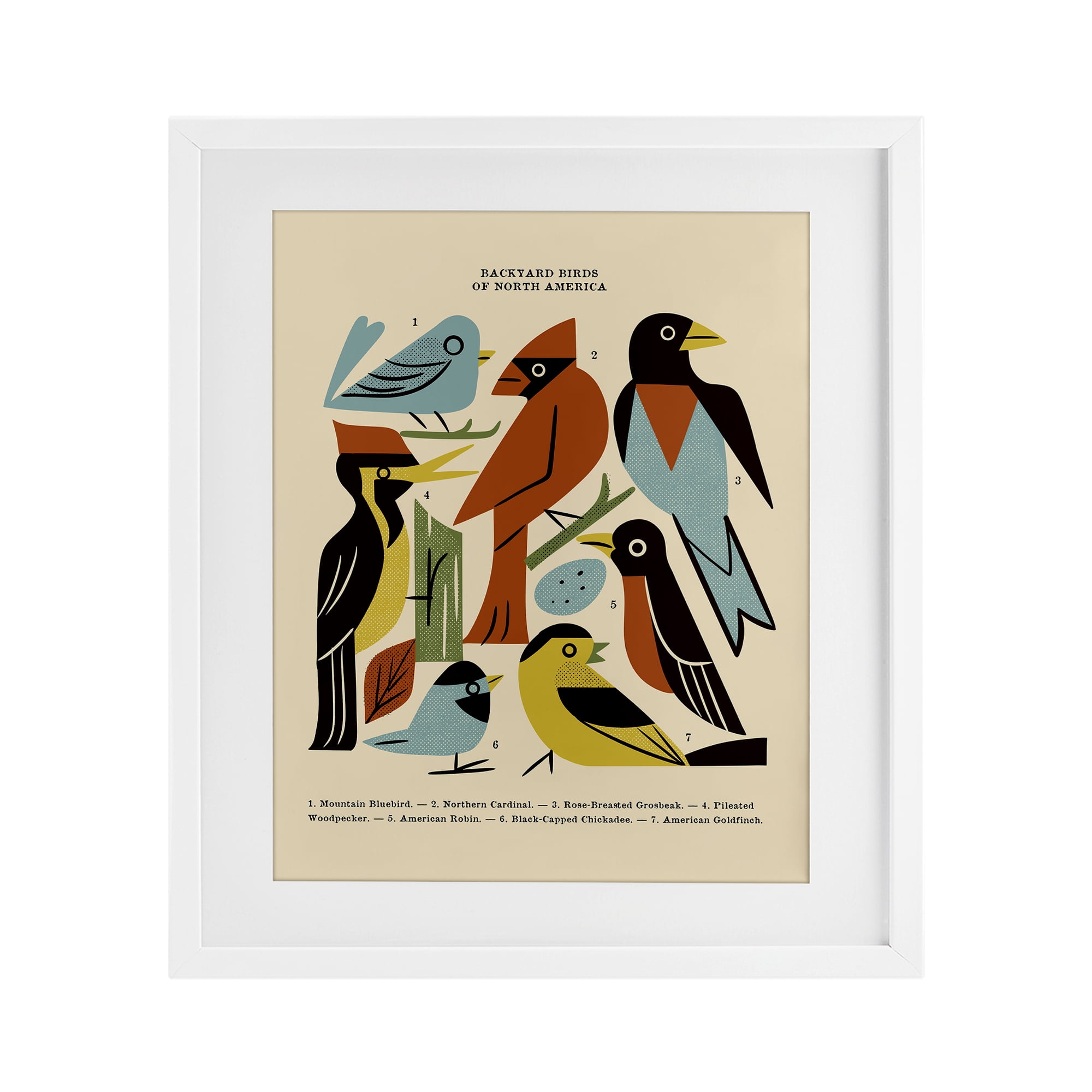 Backyard Birds Midcentury Modern White Framed Print Under Glass, design by Renea L. Thull