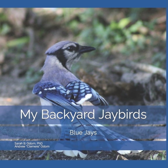 Backyard Birds My Backyard Jaybirds: Blue Jays, Book 3, (Paperback)