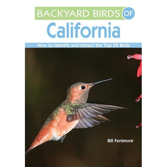 Backyard Birds of California : How to Identify and Attract the Top 25 Birds (Paperback)