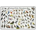 thumbnail image 1 of Backyard Birds of Pennsylvania Bird Identification Poster - Birdwatching Nature Chart, 1 of 4