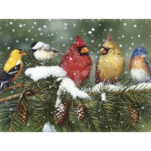 Backyard Birds on Snowy Branch, Animals Scenic Seasons Unframed Giclee Print Wall Art by William Vanderdasson Sold by Art.Com