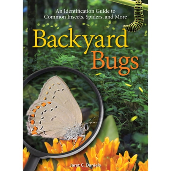 Pre-Owned Backyard Bugs: An Identification Guide to Common Insects, Spiders, and More (Paperback) 1591936853 9781591936855