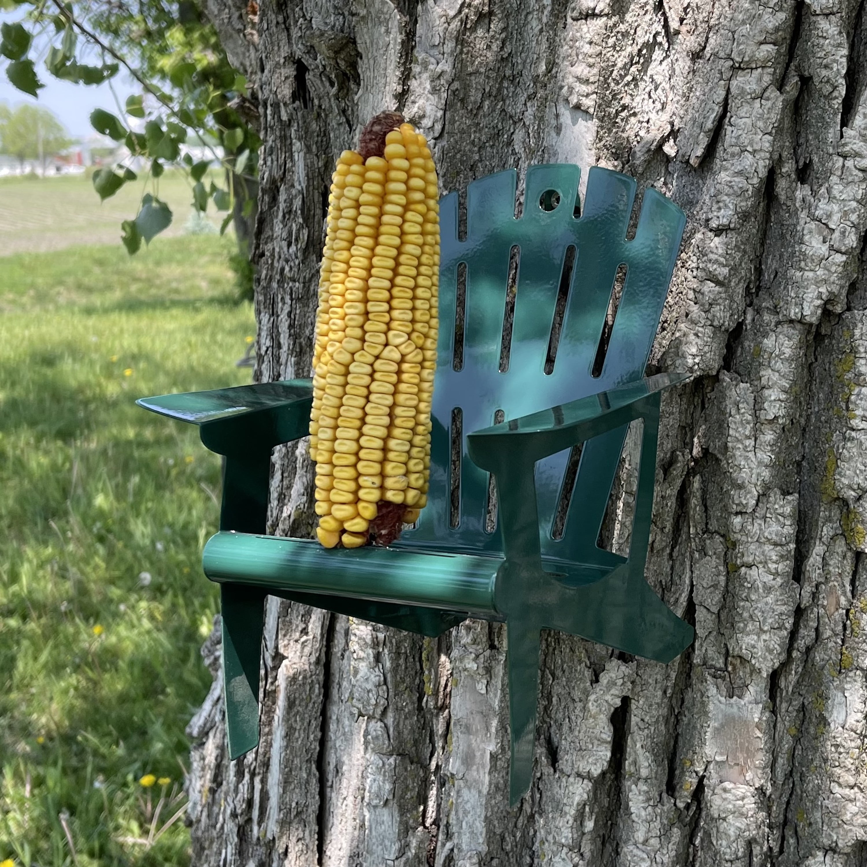 Backyard Essentials Adirondack Chair Squirrel Feeder for Corn Cob