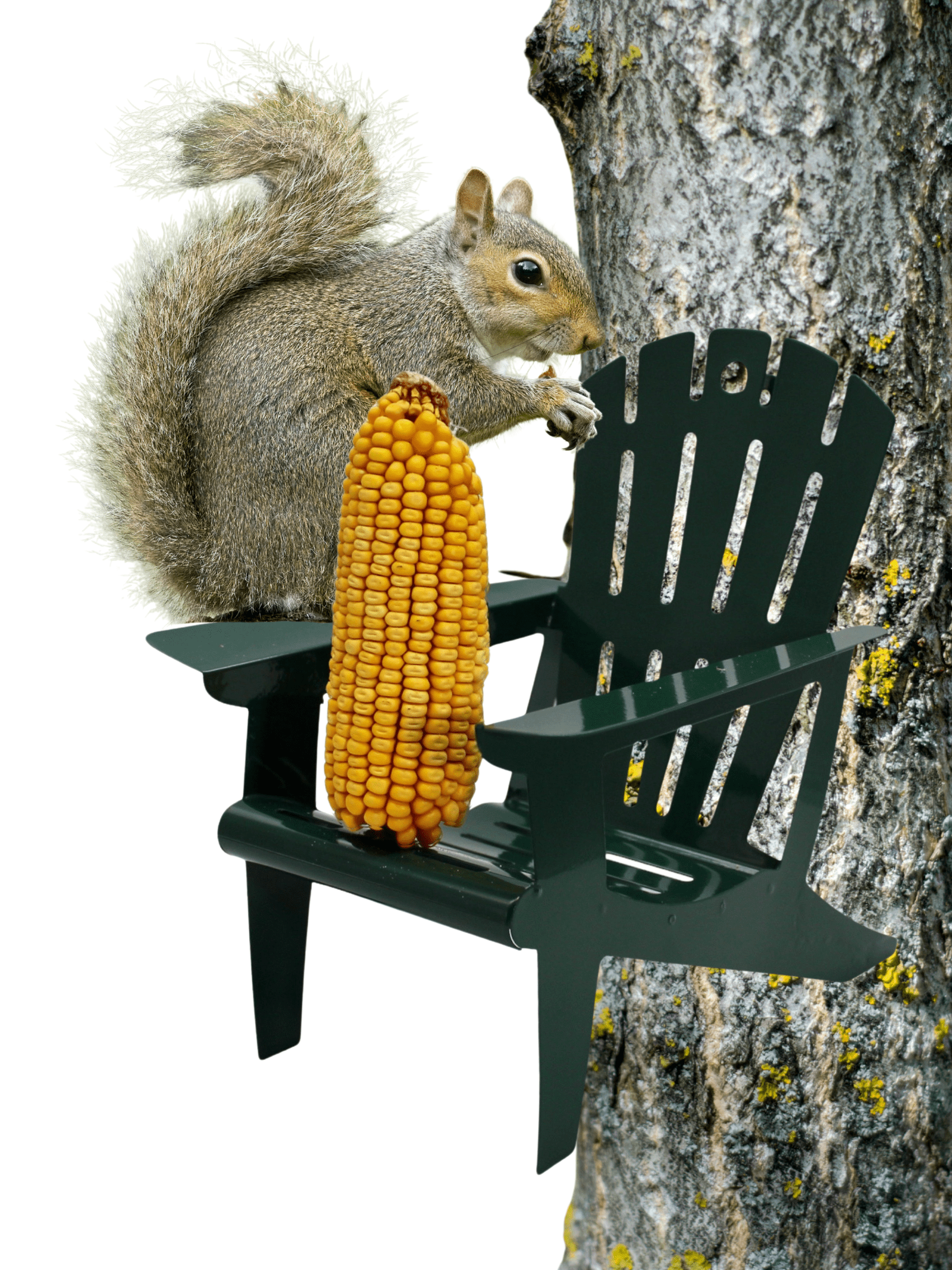 Backyard Essentials Adirondack Chair Squirrel Feeder for Corn Cob