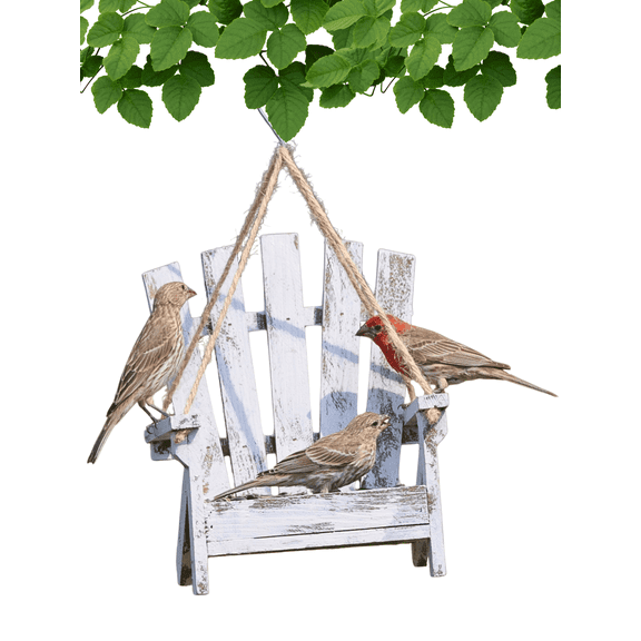Backyard Essentials Bird Seed and Squirrel Feeder, 1.5 Cups Capacity, White